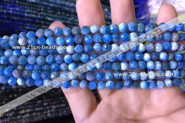 CTG762 15.5 inches 5mm faceted round tiny apatite gemstone beads