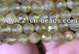 CTG813 15.5 inches 4mm faceted round tiny prehnite beads