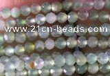 CTG821 15.5 inches 2mm faceted round tiny Australia chrysoprase beads