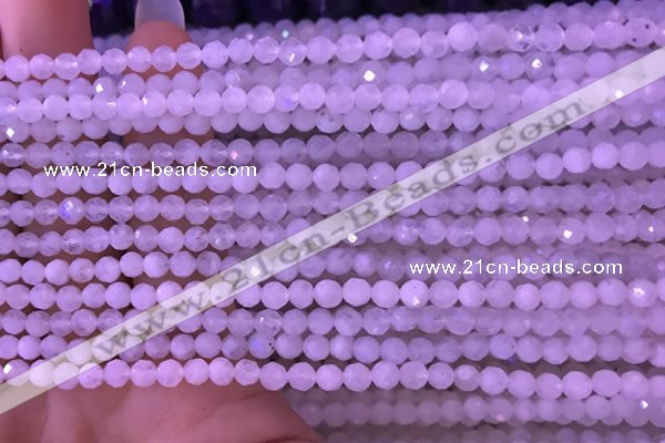 CTG831 15.5 inches 3mm faceted round tiny white moonstone beads