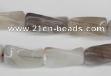 CTW123 15.5 inches 9*20mm twisted trihedron botswana agate beads