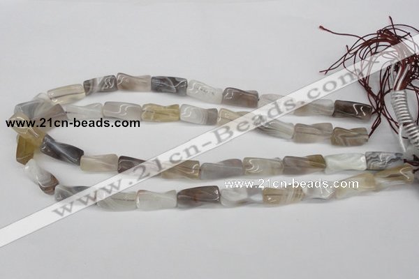 CTW123 15.5 inches 9*20mm twisted trihedron botswana agate beads