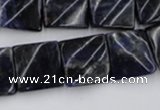 CTW355 15.5 inches 16*16mm twisted square sodalite gemstone beads