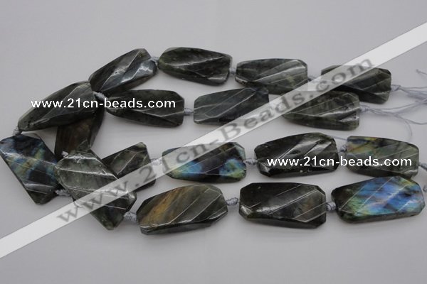 CTW457 20*38mm faceted & twisted rectangle labradorite beads