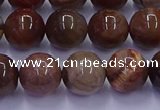 CWJ433 15.5 inches 10mm round wood jasper beads wholesale