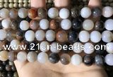 CWJ571 15.5 inches 10mm round Arizona petrified wood jasper beads