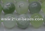 CXJ204 15.5 inches 12mm round New jade beads wholesale