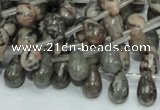 CZJ15 16 inches 6*8mm teardrop zebra jasper gemstone beads wholesale