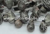 CZJ16 16 inches 8*12mm teardrop zebra jasper gemstone beads wholesale