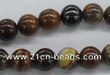 CZJ171 15.5 inches 10mm round iron zebra jasper beads wholesale