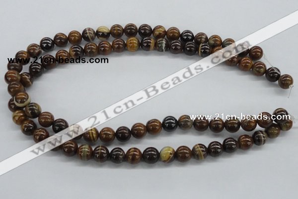 CZJ171 15.5 inches 10mm round iron zebra jasper beads wholesale