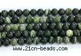 CZJ573 15.5 inches 10mm round green zebra jasper gemstone beads