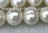 FWP100 15 inches 9mm - 10mm potato white freshwater pearl strands