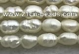 FWP151 14.5 inches 2.5mm rice white freshwater pearl strands