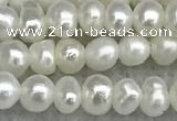 FWP16 14.5 inches 3.2mm - 3.7mm potato white freshwater pearl strands