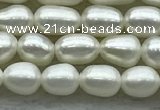 FWP161 14.5 inches 3.5mm - 4mm rice white freshwater pearl strands