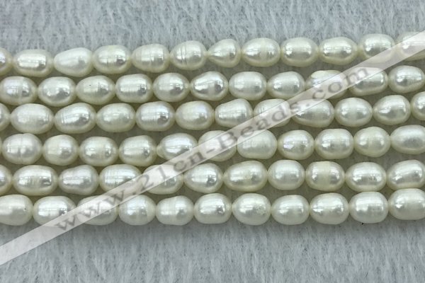 FWP174 14.5 inches 5mm - 6mm rice white freshwater pearl strands