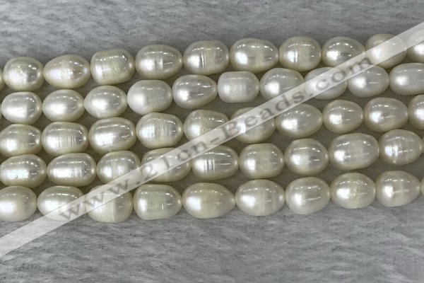 FWP190 15 inches 7mm - 8mm rice white freshwater pearl strands