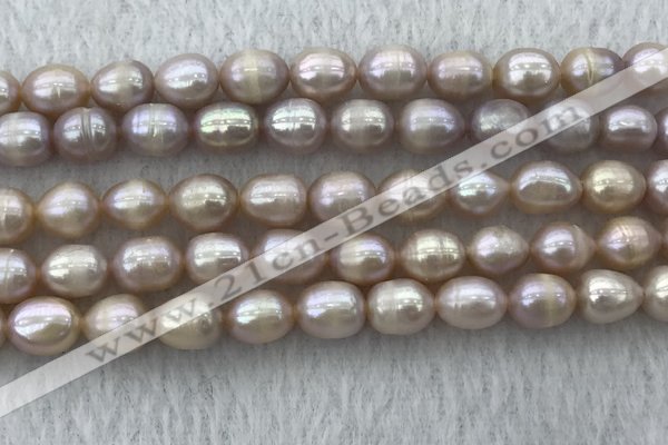 FWP197 15 inches 7mm - 8mm rice purple freshwater pearl strands