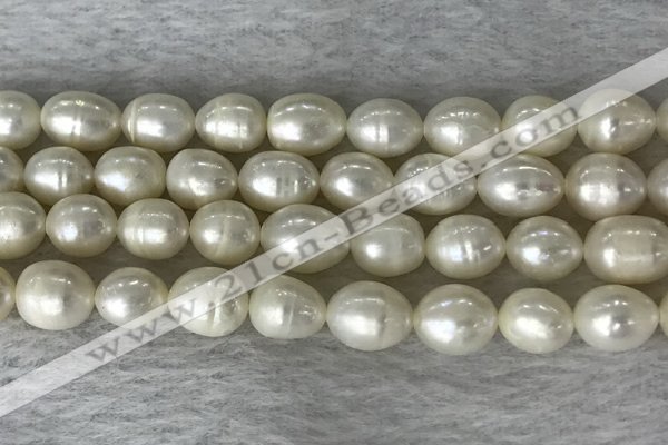 FWP200 15 inches 8mm - 9mm rice white freshwater pearl strands
