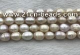 FWP206 15 inches 10mm - 11mm rice white freshwater pearl strands
