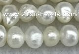 FWP30 14.5 inches 4.5mm potato white freshwater pearl strands