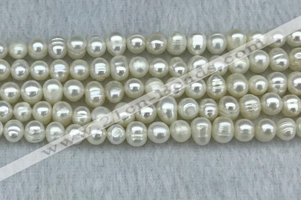 FWP35 14.5 inches 5mm - 6mm potato white freshwater pearl strands