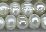 FWP37 14.5 inches 5mm - 6mm potato white freshwater pearl strands