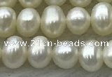 FWP41 14.5 inches 4mm - 5mm potato white freshwater pearl strands