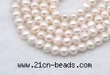 FWP482 14 inches 7mm - 8mm potato white freshwater pearl strands