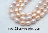 FWP502 14 inches 10mm - 11mm baroque lavender freshwater pearl strands