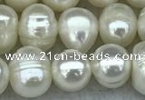 FWP55 15 inches 6mm - 7mm potato white freshwater pearl strands