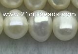 FWP59 15 inches 6mm - 7mm potato white freshwater pearl strands