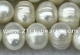 FWP70 15 inches 7mm - 8mm potato white freshwater pearl strands