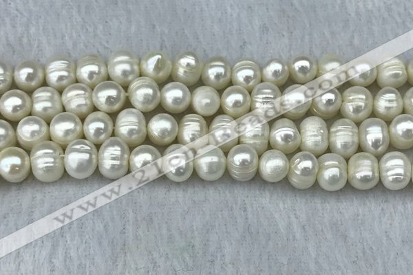 FWP70 15 inches 7mm - 8mm potato white freshwater pearl strands