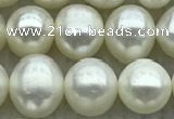 FWP71 15 inches 7mm - 8mm potato white freshwater pearl strands