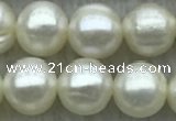 FWP72 15 inches 7mm - 8mm potato white freshwater pearl strands