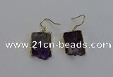 NGE5025 15*16mm - 15*20mm freeform druzy amethyst earrings