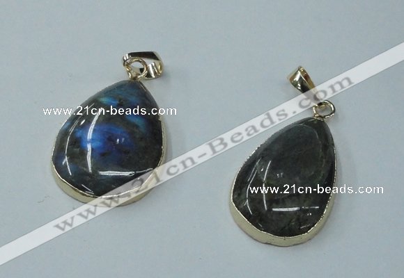 NGP1158 20*30mm - 25*35mm freeform labradorite pendants with brass setting