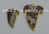 NGP6691 25*30mm - 30*40mm tooth agate gemstone pendants wholesale