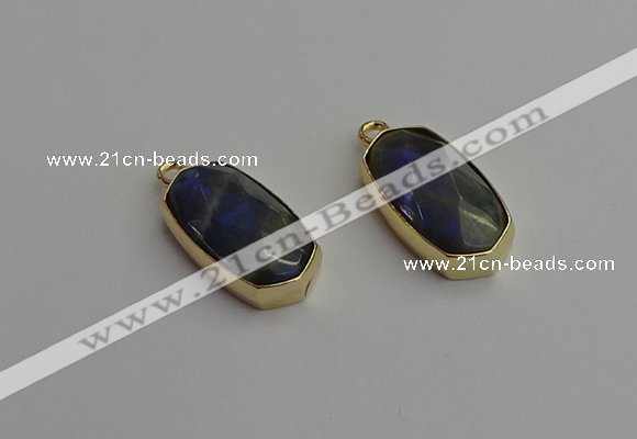 NGP7270 13*25mm faceted freeform labradorite pendants wholesale