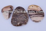 NGP946 5PCS 30-45mm*40-60mm freeform jasper gemstone pendants