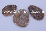 NGP955 5PCS 35-55mm*50-65mm freeform jasper gemstone pendants