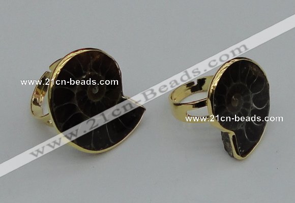 NGR206 25*25mm – 25*30mm carved ammonite rings wholesale